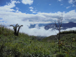 Cloud Forest Ecuador International volunteers